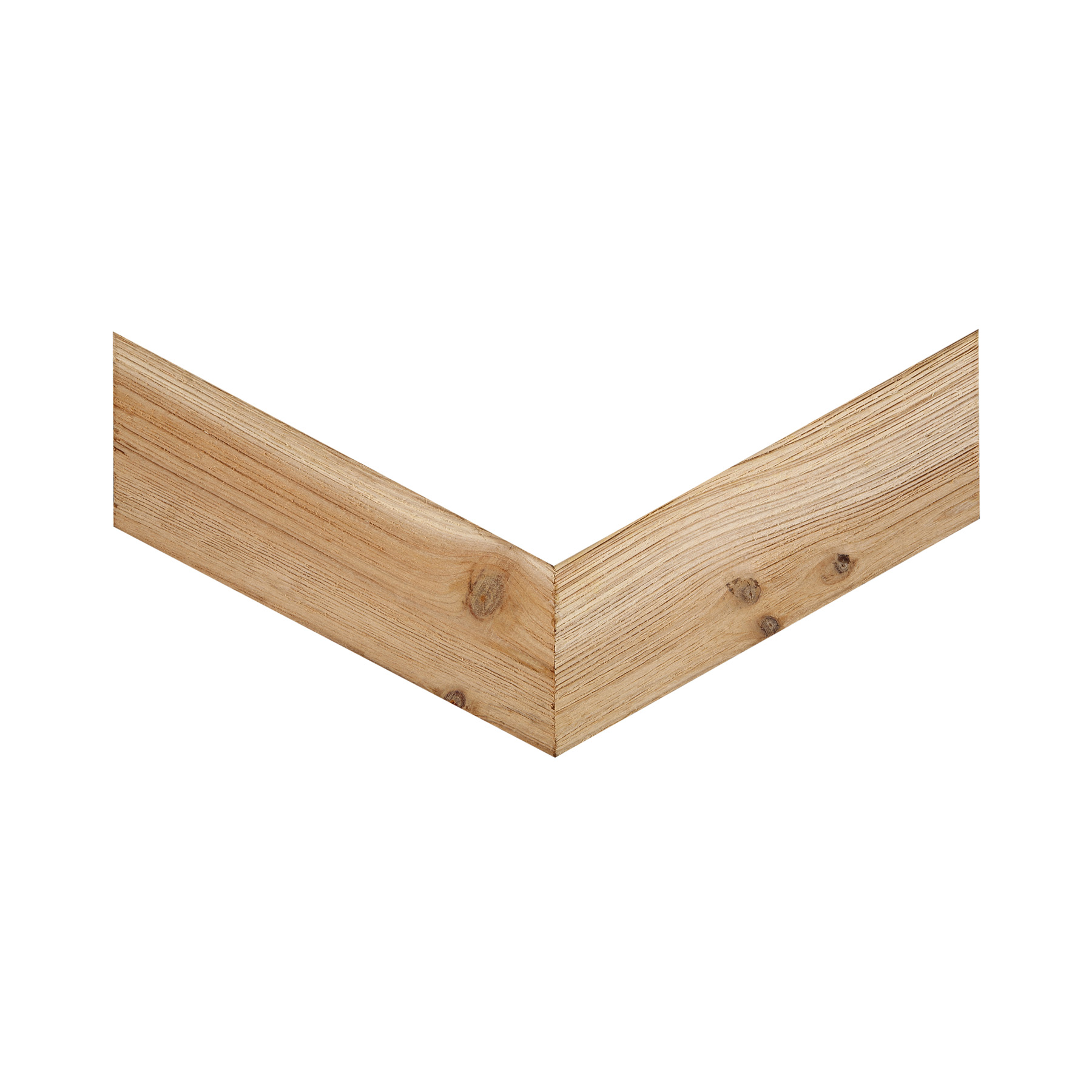 cedar